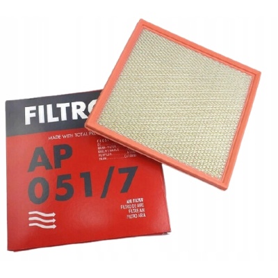 Filtron AP 051/7 Filtr powietrza - obrazek 12