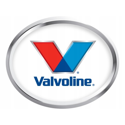 VALVOLINE EGR CLEANER 500ML - obrazek 3