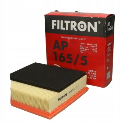 Filtron AP 165/5 Filtr powietrza - obrazek 1