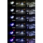 Philips H11 55 W 12362PRC1 1 szt. - obrazek 8