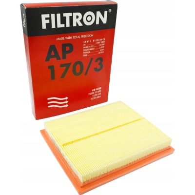 Filtron AP 170/3 Filtr powietrza