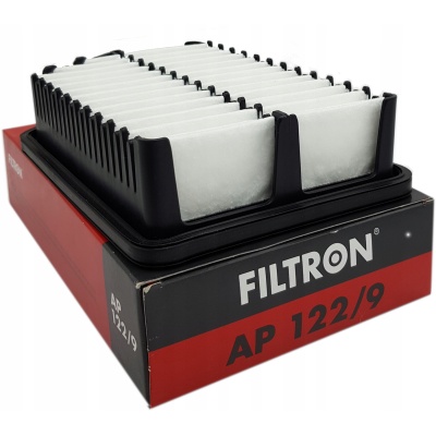 Filtron AP 122/9 Filtr powietrza