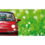 Żarówka Philips LongLife EcoVision H11 55 W 1 szt. 12362LLECOB1 - obrazek 6